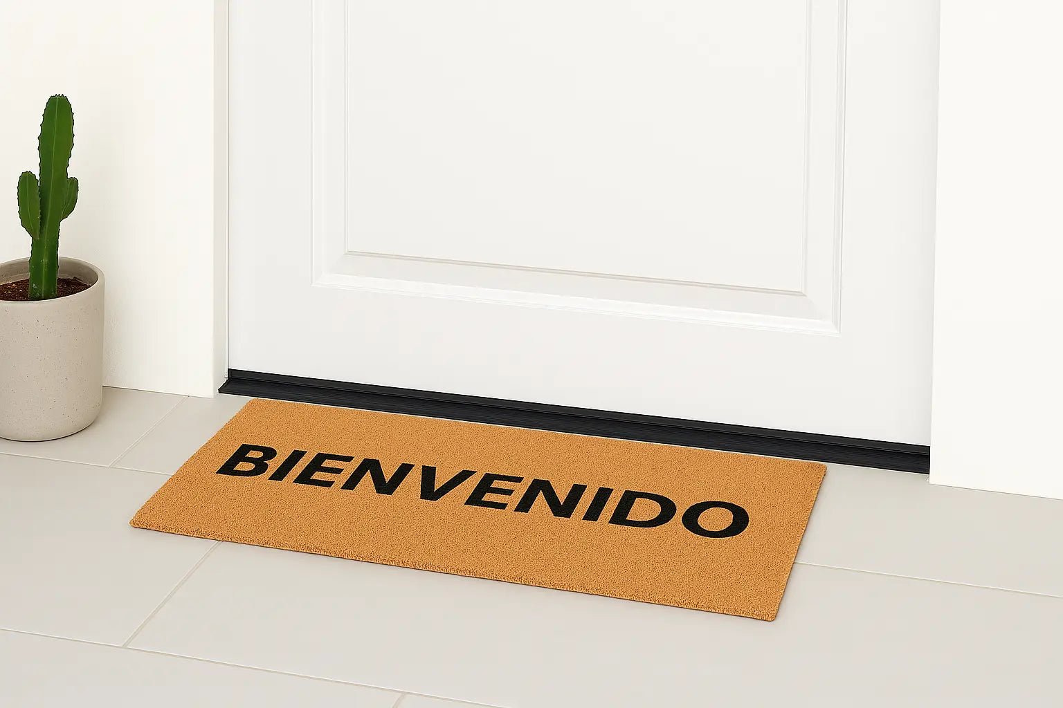 🏡 Alfombras de entrada para tu casa: funcionalidad, estilo y limpieza desde la puerta
