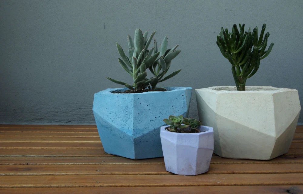 Deco Hogar 2025: Ideas creativas con maceteros modernos