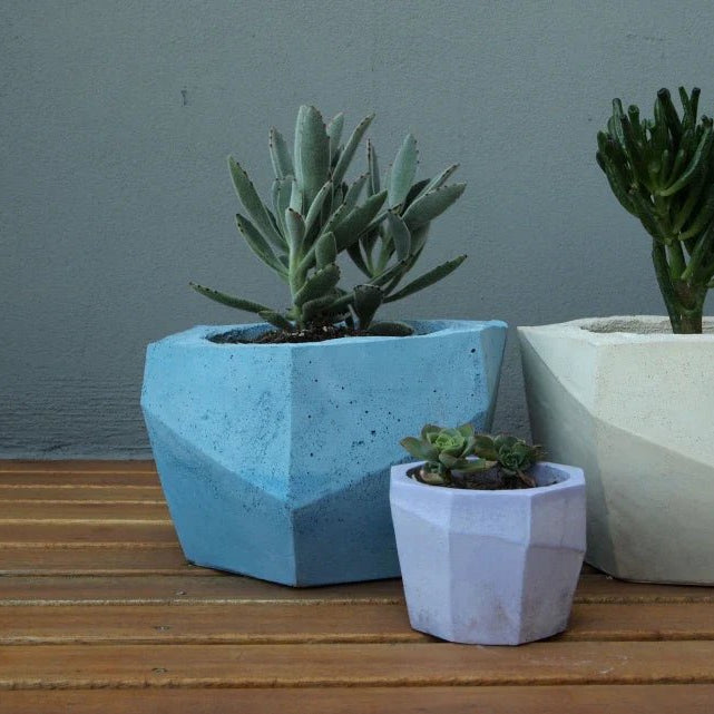 Deco Hogar 2025: Ideas creativas con maceteros modernos