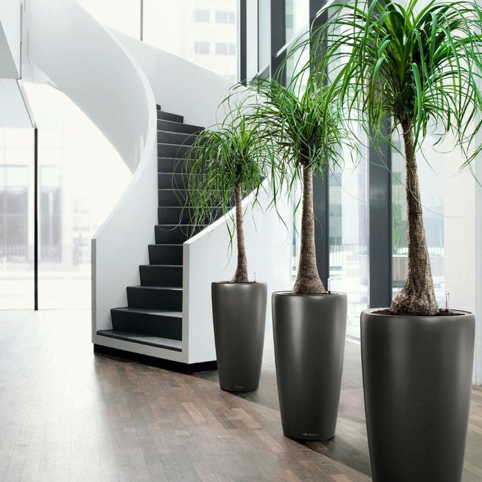 plantas-artificiales