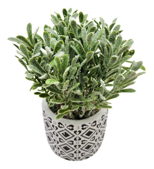 Planta Artificial Macetero Cerámica Vintage Flores Verdes - Fliperex
