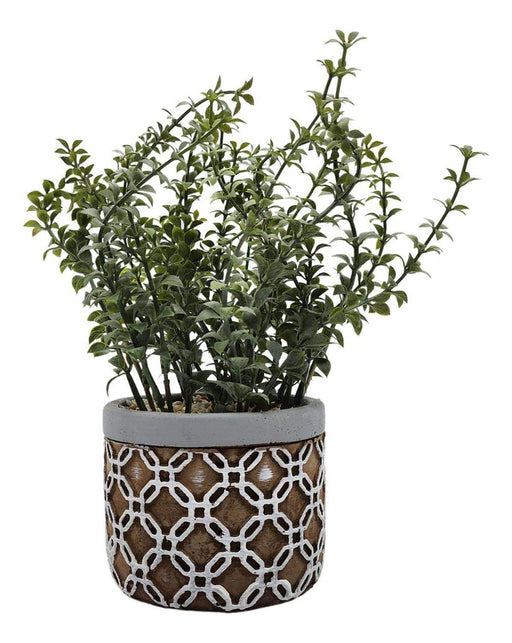 Planta Artificial Tropical Macetero Ceramica Café Con Blanco - Fliperex