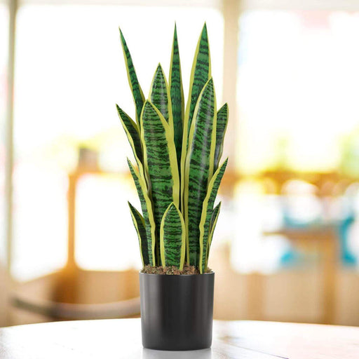 Planta Artificial Lengua De Suegra Planta Sansevieria Flores - Fliperex
