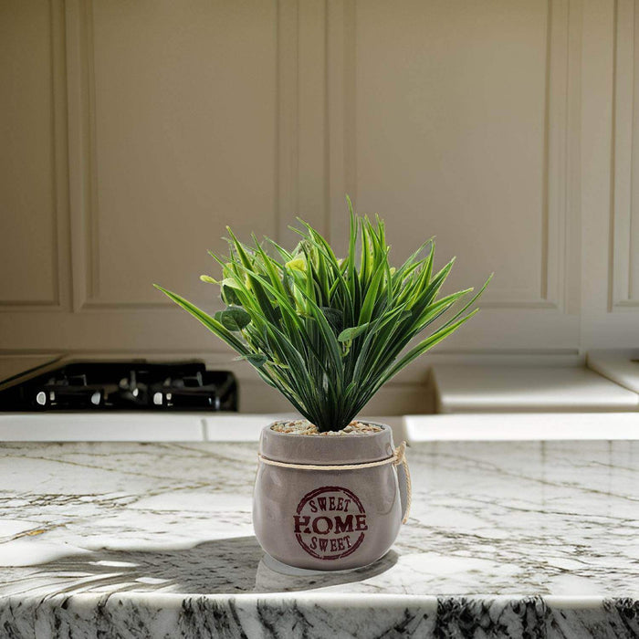 Planta Artificial Plantita Macetero Ceramica Sweet Home - Fliperex
