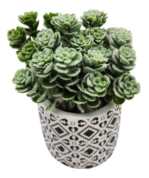 Planta Artificial Macetero Cerámica Vintage Planta Verde - Fliperex