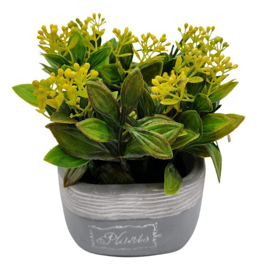 Planta Artificial Macetero Cerámica Vintage Plants Cubo - Fliperex