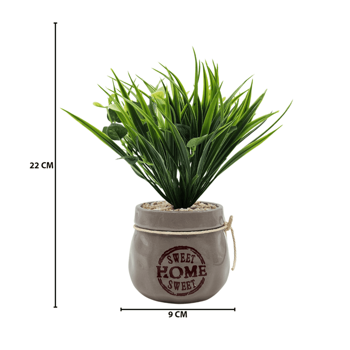 Planta Artificial Plantita Macetero Ceramica Sweet Home - Fliperex