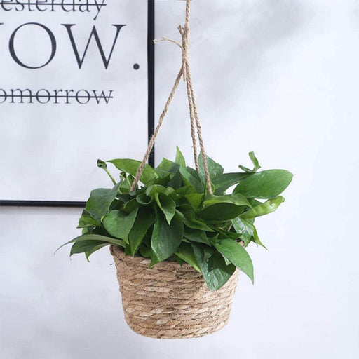 Canasto Porta Macetero Colgante De Fibra Para Casas Terrazas - Fliperex