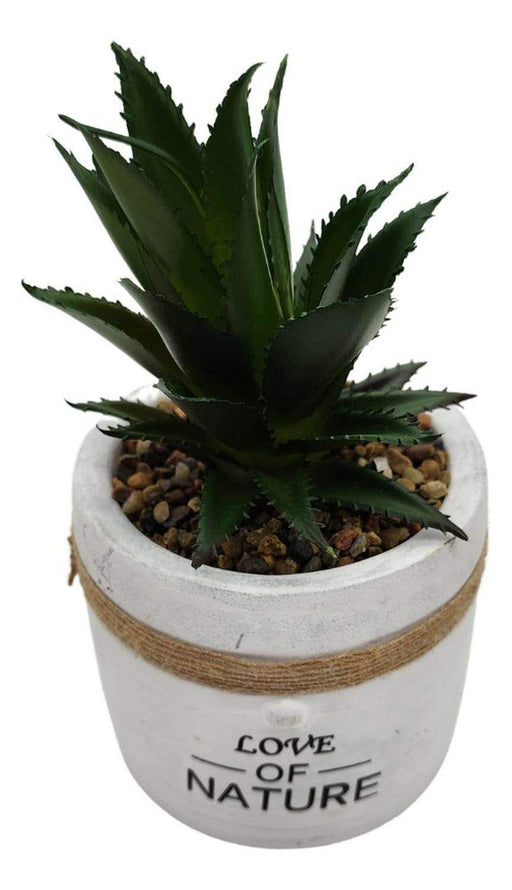 Planta Artificial Macetero Cerámica Vintage Love Of Nature - Fliperex