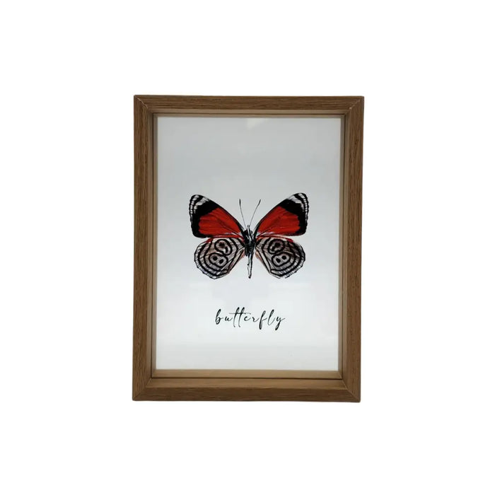 Cuadro De Vidrio Marco Madera Diseño Mariposa Grande - Fliperex