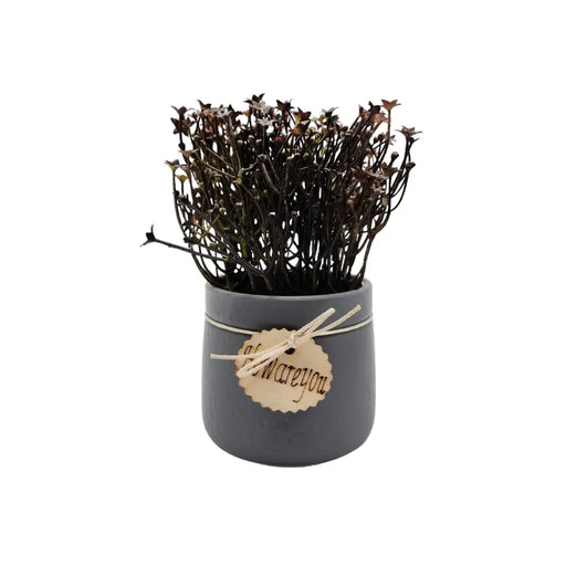 Planta Artificial Macetero Cerámica Howareyou Gris Flores - Fliperex