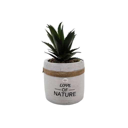 Planta Artificial Macetero Cerámica Vintage Love Of Nature - Fliperex