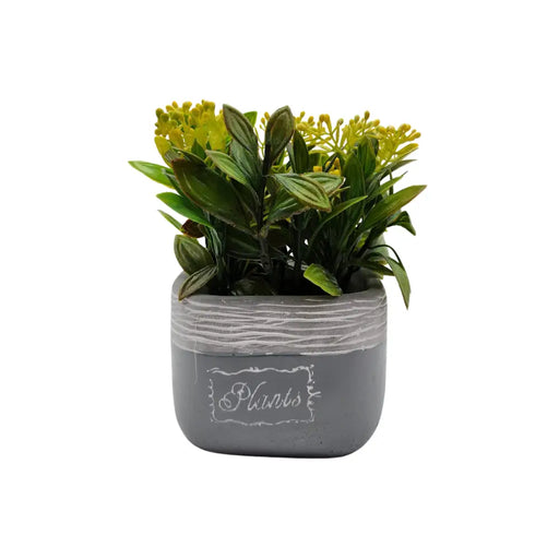 Planta Artificial Macetero Cerámica Vintage Plants Cubo - Fliperex