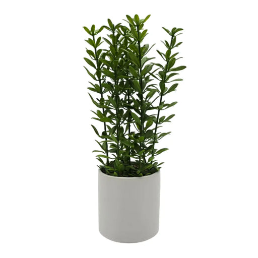 Planta Artificial Macetero De Ceramica Blanco Hojas Verdes - Fliperex