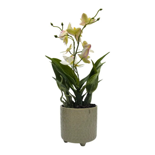 Planta Artificial Orquidea Blanco Decorativa Macetero Loza - Fliperex