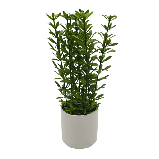 Planta Artificial Macetero De Ceramica Blanco Hojas Verdes - Fliperex