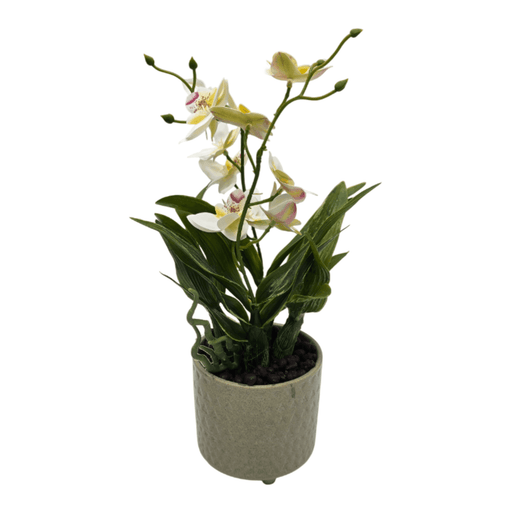 Planta Artificial Orquidea Blanco Decorativa Macetero Loza - Fliperex