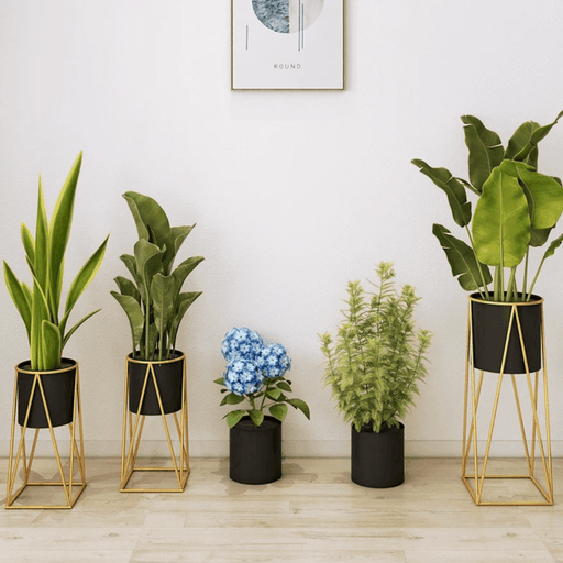 Porta Macetero Pedestal Maceta Plantas Negro Dorado Mediano - Fliperex