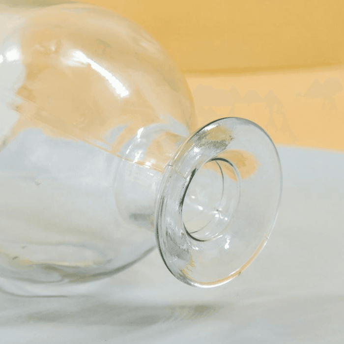 Florero Botella Decorativa De Vidrio Cristal Transparente - Fliperex