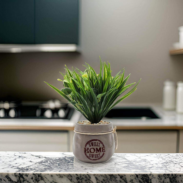 Planta Artificial Plantita Macetero Ceramica Sweet Home - Fliperex