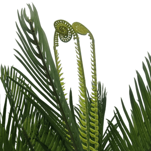 Planta Artificial Palmera Macetero Plastico Negro Grande - Fliperex