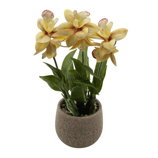 Planta Artificial Orquidea Amarilla Decorativa Macetero Loza - Fliperex
