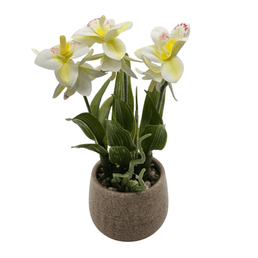 png_1500x1500_61913081