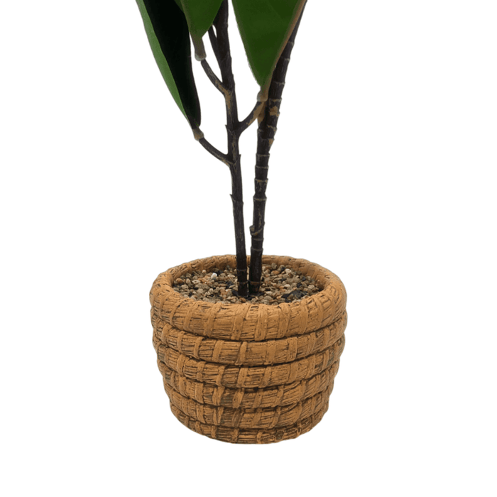 Planta Artificial Macetero De Cemento Naranjo Hojas Verdes - Fliperex