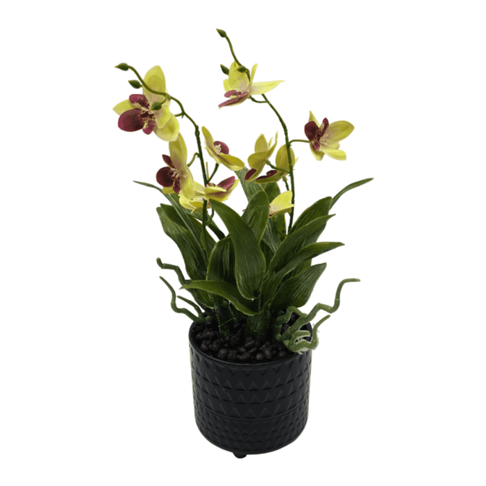 Planta Artificial Orquidea Amarillo Decorativa Macetero Loza - Fliperex