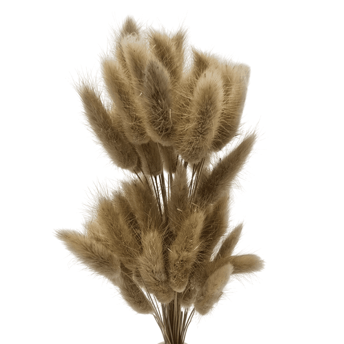 Florero De Ceramica Decorativo Blanco Ovalado Flores Secas - Fliperex