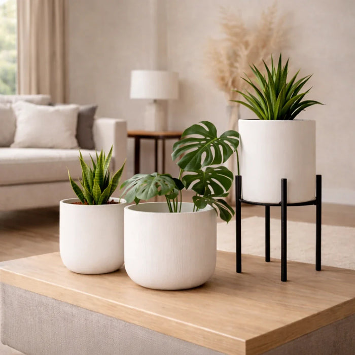 Maceteros blancos: cómo usarlos para lograr un estilo minimalista