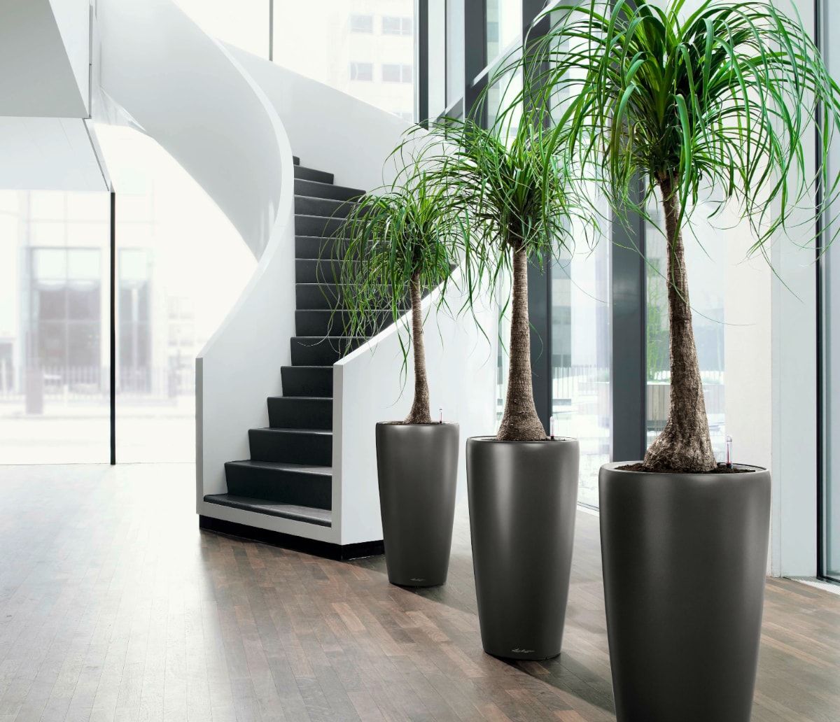 plantas-artificiales