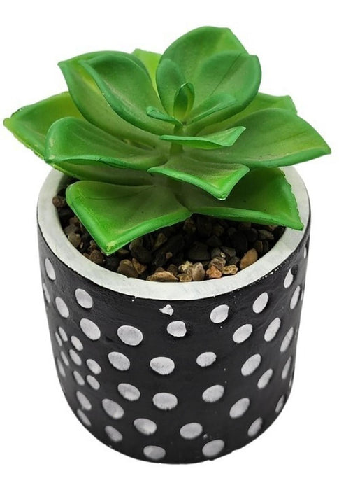 Planta Artificial Macetero Cerámica Negro Con Puntos Blancos