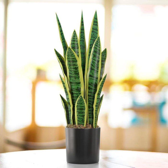 Planta Artificial Lengua De Suegra Planta Sansevieria Flores