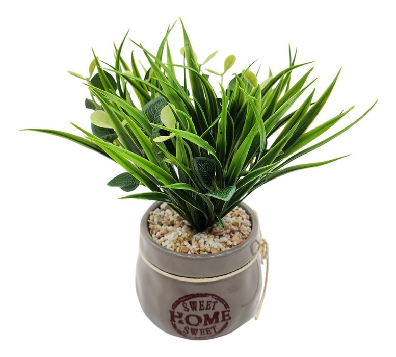 Planta Artificial Plantita Macetero Ceramica Sweet Home