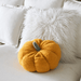 Cojin Decorativo Peluche Forma De Zapallo Calabaza Colores - Fliperex