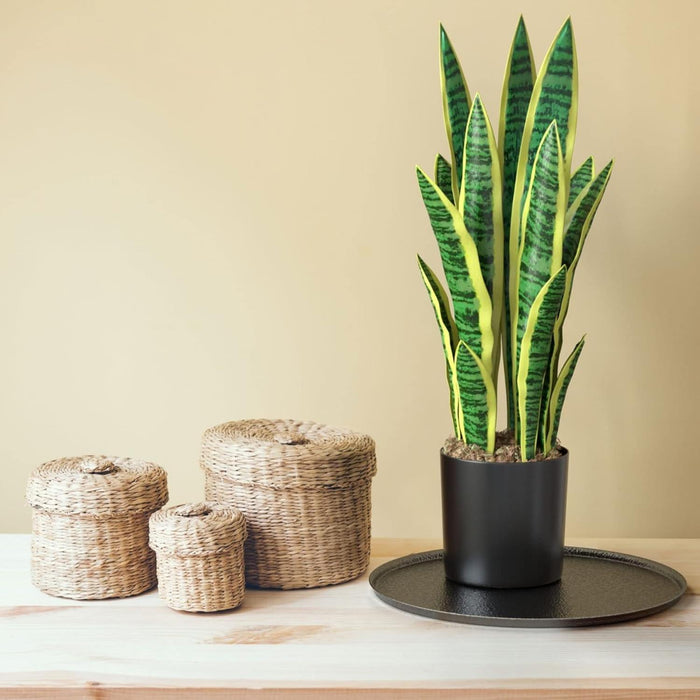 Planta Artificial Lengua De Suegra Planta Sansevieria Flores