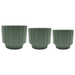 Set 3 Maceteros Maceta De Ceramica Oliva Lineas Verticales - Fliperex
