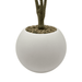 Planta Artificial Dracena Grande En Macetero Plastico Blanco - Fliperex