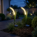 png_1500x1500_74210709
