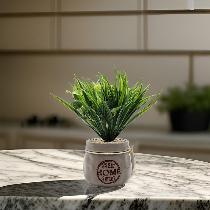 Planta Artificial Plantita Macetero Ceramica Sweet Home