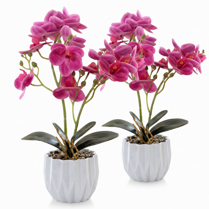 png_1500x1500_74219946