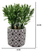 Planta Artificial Macetero Cerámica Vintage Flores Verdes - Fliperex