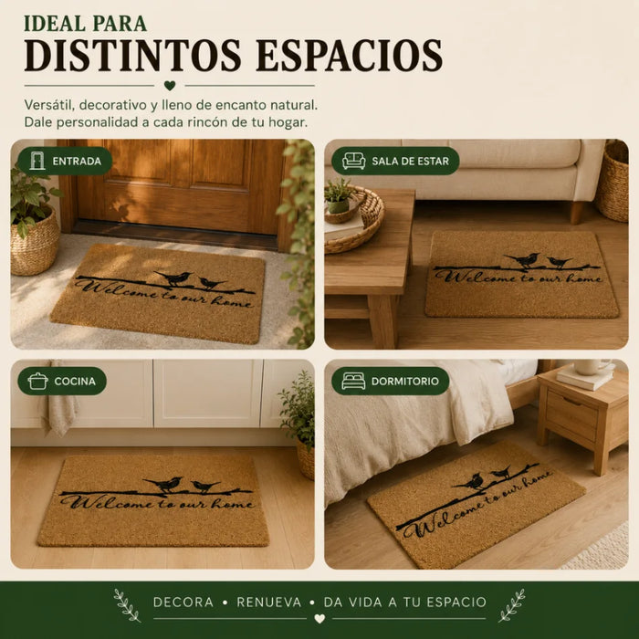 Alfombra Limpia Pies Felpudo Alfombra De Fibra Diseños