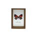 Cuadro De Vidrio Marco Madera Diseño Mariposa Decorativo - Fliperex