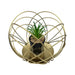 Figura Decorativa Candelabro Esfera Dorada Con Mini Planta - Fliperex