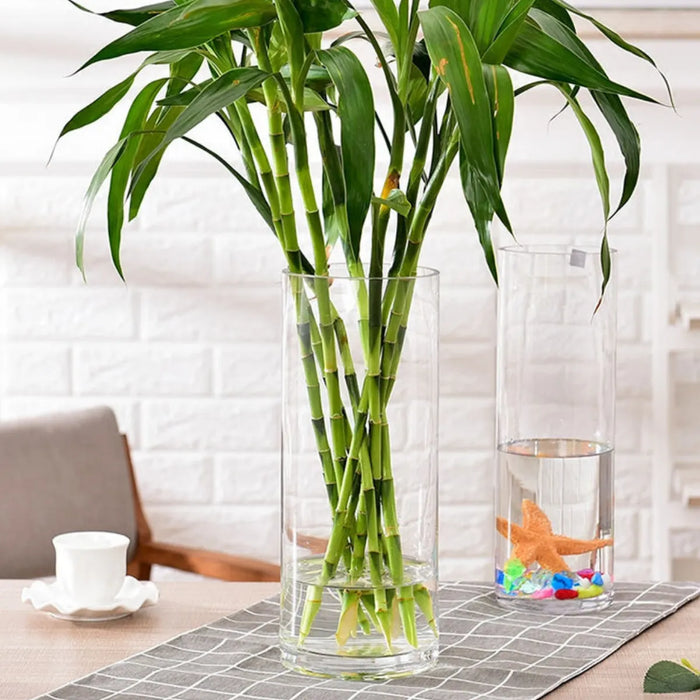 Florero De Vidrio Alto Cilindrico Transparente Jarron