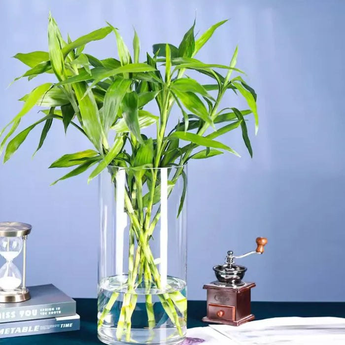 Florero De Vidrio Alto Cilindrico Transparente Mediano