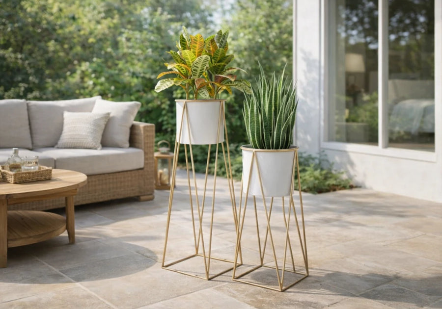 Naturaleza que decora tus espacios