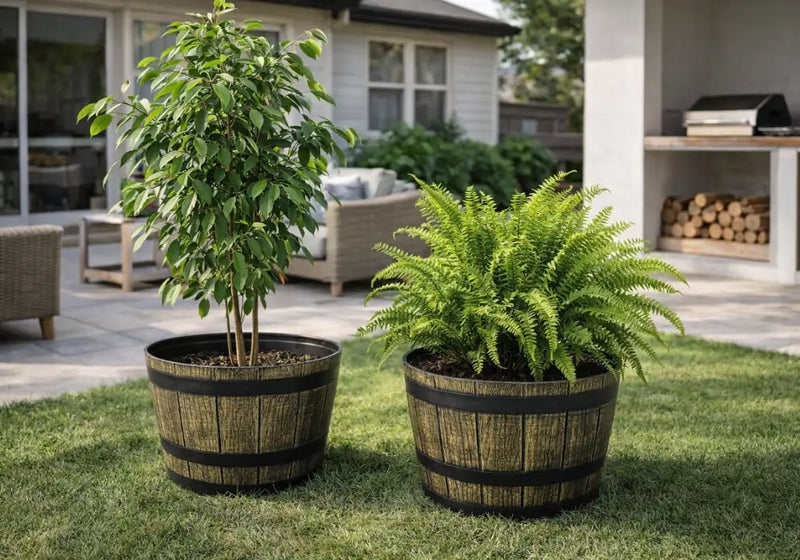 VERDE QUE APORTA VIDA Y ESTILO